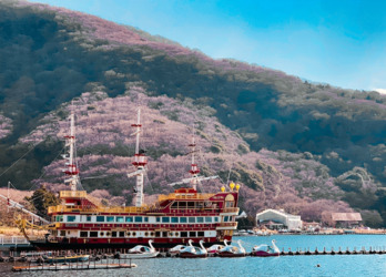 5 things you should not miss when you visit Osaka for the first time